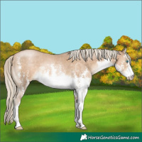 Horse Color:White Spotted Chocolate Palomino Pearl Sabino 