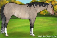 Horse Color:Brown Dun Rabicano