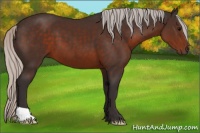 Horse Color:Silver Brown 