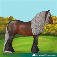 Horse Color:Silver Brown Rabicano 