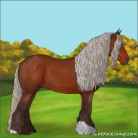 Horse Color:Silver Brown 