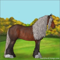 Horse Color:Silver Brown Rabicano 