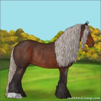 Horse Color:Silver Brown Rabicano 