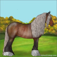 Horse Color:Silver Brown Rabicano 