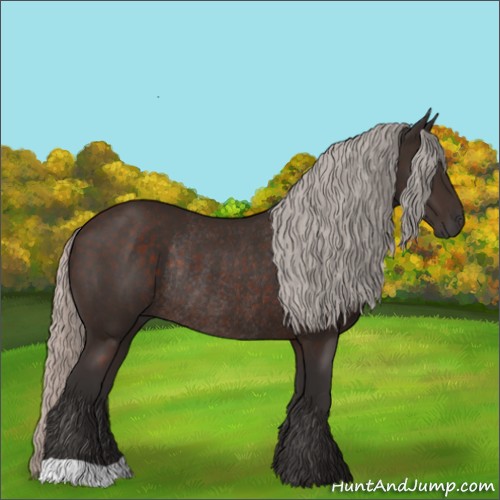 Horse Color:Silver Brown Rabicano