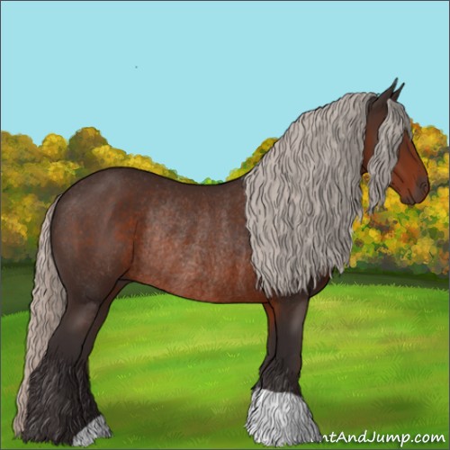 Horse Color:Silver Brown Rabicano