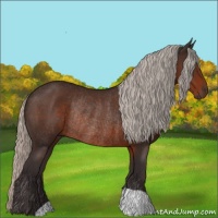 Horse Color:Silver Brown Rabicano 
