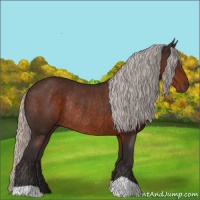 Horse Color:Silver Brown Rabicano 
