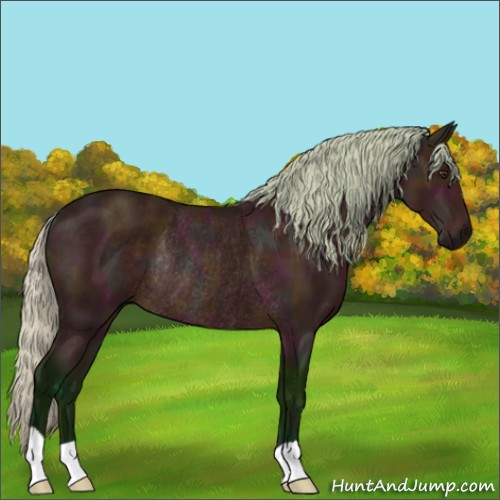 Horse Color:Watercolor Midnight Silver Buckskin Rabicano 