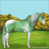 Horse Color:Watercolor Liver Chestnut Tobiano