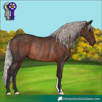 Horse Color:Silver Brown Rabicano 