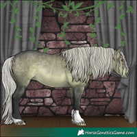 Horse Color:Silver Brown Chinchilla Rabicano 