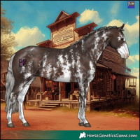 Horse Color:Silver Bay Mushroom Sabino 