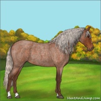 Horse Color:Silver Buckskin Roan Sabino 