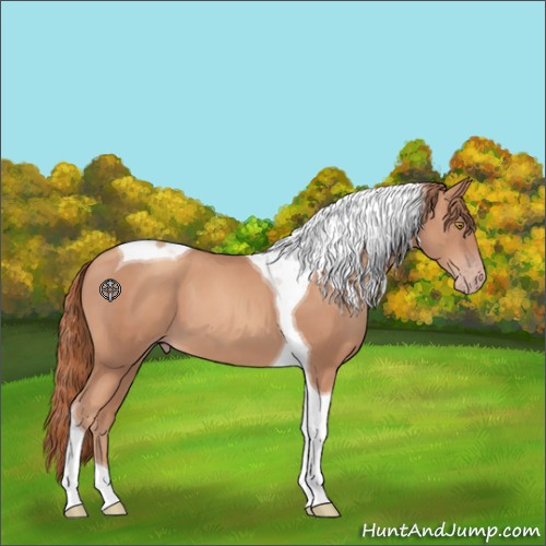 Horse Color:Gold Champagne Tobiano 