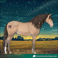 Horse Color:Amber Champagne 