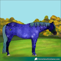 Horse Color:ERROR: UNKNOWN ANOMALY