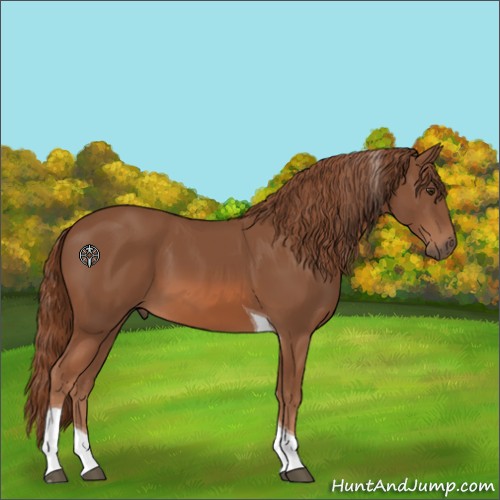 Horse Color:Chestnut Tobiano 