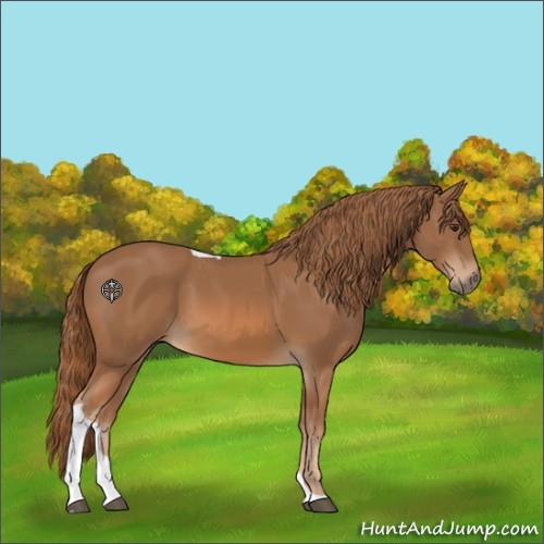 Horse Color:Chestnut Tobiano 
