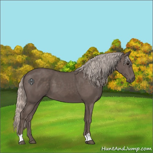 Horse Color:Silver Black 