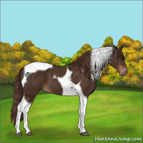 Horse Color:Liver Chestnut Tobiano 