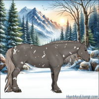 Horse Color:White Spotted Silver Black 