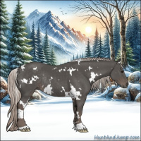 Horse Color:White Spotted Silver Black Rabicano 