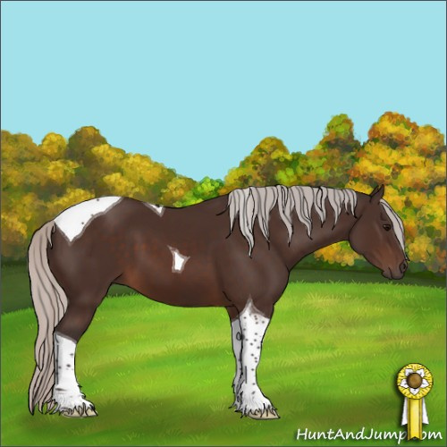 Horse Color:Silver Brown Tobiano 