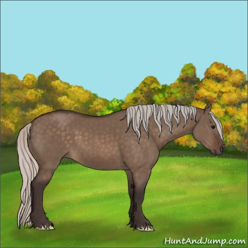 Horse Color:Silver Brown Dun 