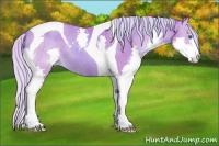 Horse Color:Watercolor Silver Classic Champagne Splash Tobiano 