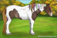Horse Color:Painted Liver Chestnut Tobiano Rabicano 