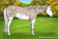 Horse Color:Chocolate Palomino Ice Roan Splash Rabicano