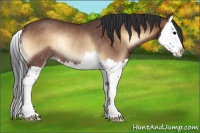 Horse Color:Bay Roan Onyx Splash Rabicano 