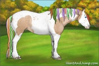 Horse Color:Painted Buckskin Pearl Splash Tobiano Rabicano 