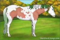 Horse Color:Watercolor Brown Splash Tobiano 