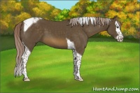 Horse Color:Chocolate Palomino Splash Tobiano 