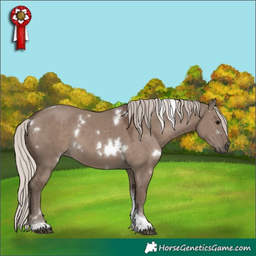 Horse Color:White Spotted Silver Grullo Tobiano 