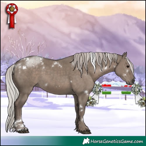 Horse Color:White Spotted Silver Grullo 