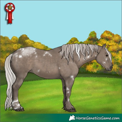 Horse Color:White Spotted Silver Grullo 