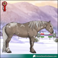 Horse Color:White Spotted Silver Grullo 