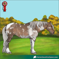 Horse Color:White Spotted Silver Brown Dun Tobiano 
