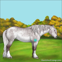 Horse Color:Chocolate Silver Brown Chinchilla Dun 