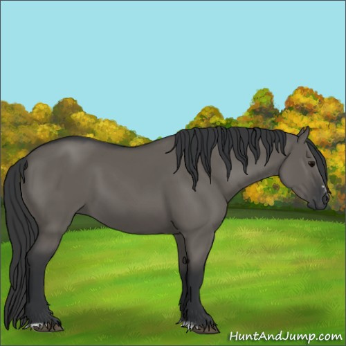 Horse Color:Grullo Sabino Rabicano 