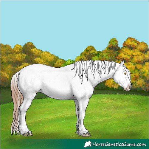 Horse Color:Bay Roan Dun Splash Snowflake Varnish