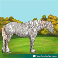 Horse Color:White Spotted Gold Champagne Ice Pearl Dun Rabicano 