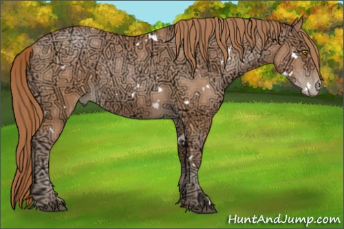 Horse Color:White Spotted Bay Ice Pearl Rabicano 