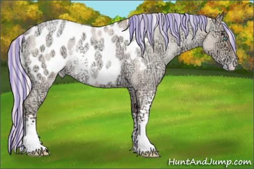 Horse Color:Painted White Spotted Silver Sable Champagne Ice Roan Pearl Dun Appaloosa 