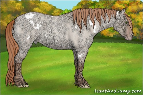 Horse Color:White Spotted Gold Champagne Ice Roan Dun 