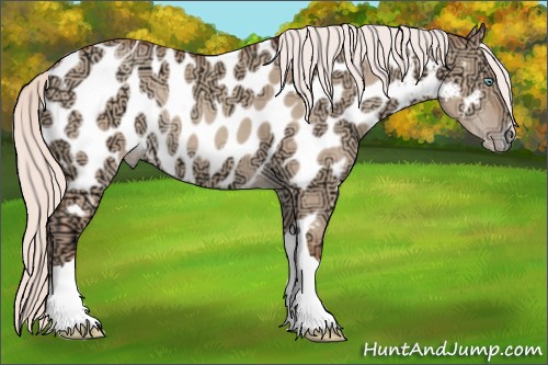 Horse Color:Silver Amber Champagne Ice Dun Appaloosa Rabicano 