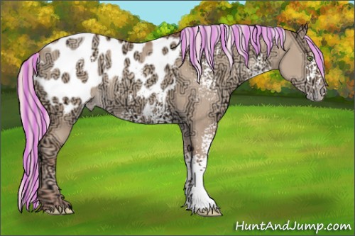 Horse Color:Painted White Spotted Silver Sable Champagne Ice Dun Blanket Rabicano 